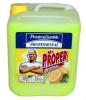 Mr.Proper univerz�ln� 5L