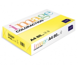 Detailn� obr�zek