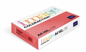 Detailn� obr�zek