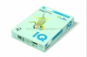 Detailn� obr�zek