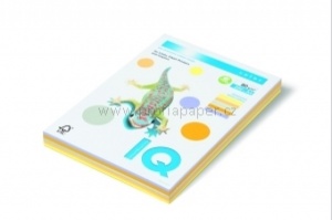 Detailn� obr�zek