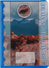 Detailn� obr�zek