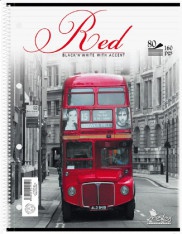 Detailn� obr�zek