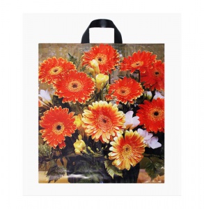 Detailn� obr�zek