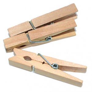 Detailn� obr�zek