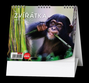 Detailn� obr�zek