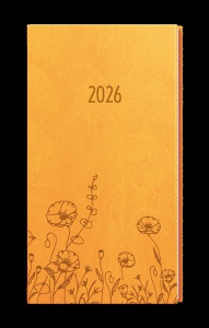 Detailn� obr�zek